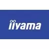 iiyama